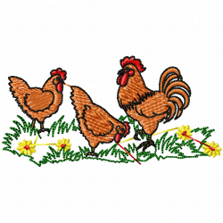 Chickens And Roosters Embroidery Design 10 Chickens And Roosters Embroidery Design 10
